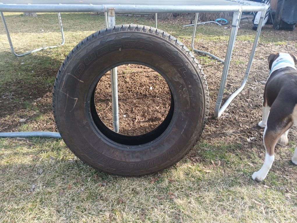 F-150 Tires