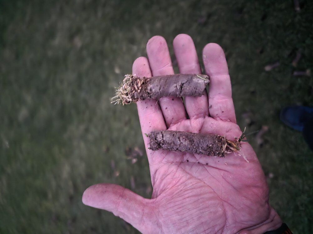 Lawn aeration and power rake /dethatch