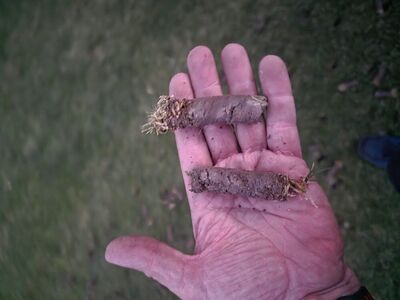 Lawn aeration and power rake /dethatch