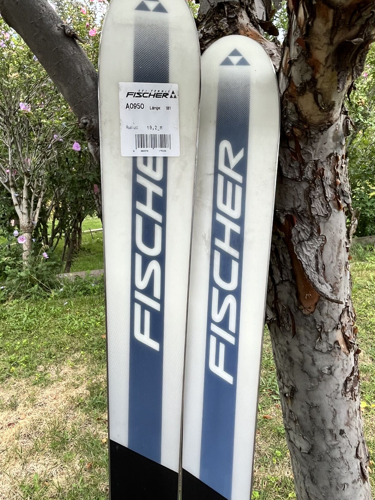 181cm New Fisher Skis DRS 104