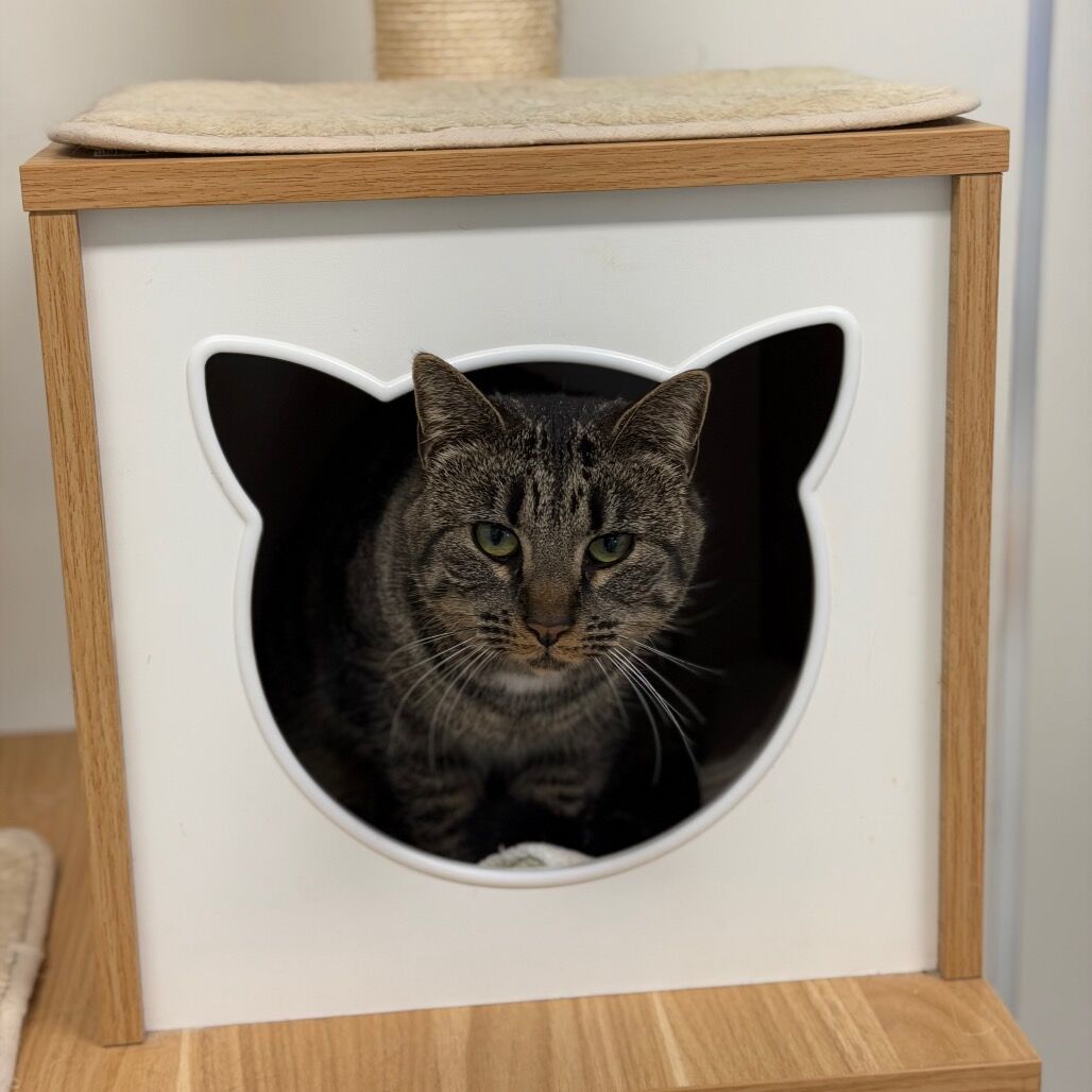 Hello my name is Edie