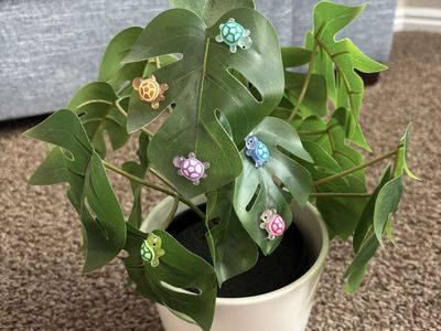 Cute Mini Turtle Plant Pet Magnets - 2 pack - Tons available