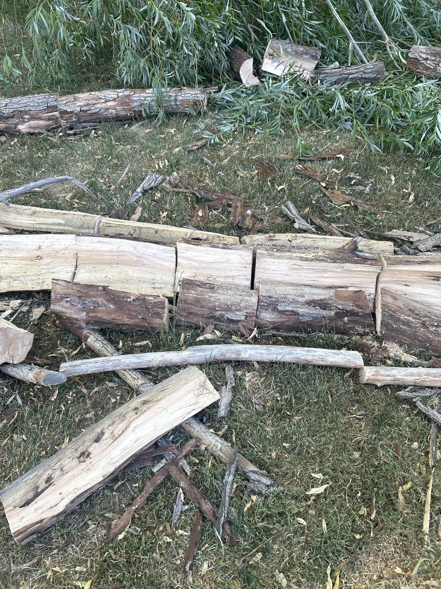 Free firewood