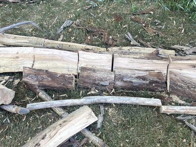 Free firewood