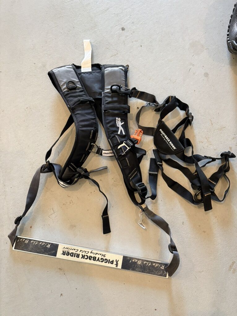 Piggyback Rider Kids Carrier for Hiking Or Travel