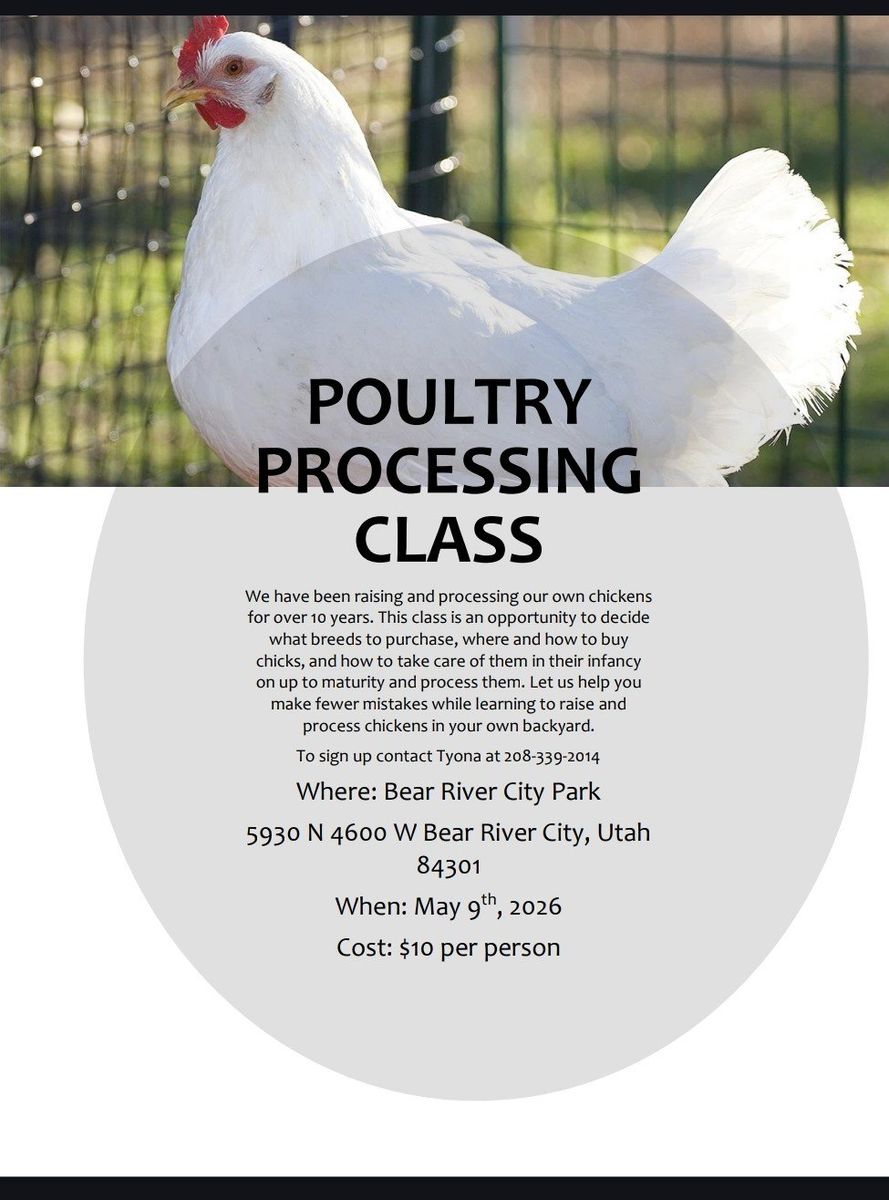 Poultry Class