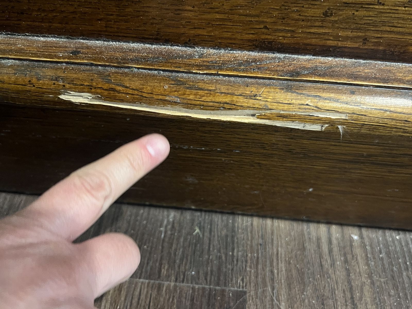 Main image 7