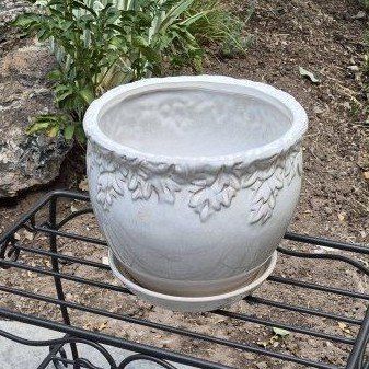 Plant Pot