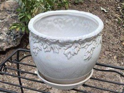 Plant Pot