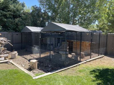 Outdoor Dog Kennel – 3 Kennels