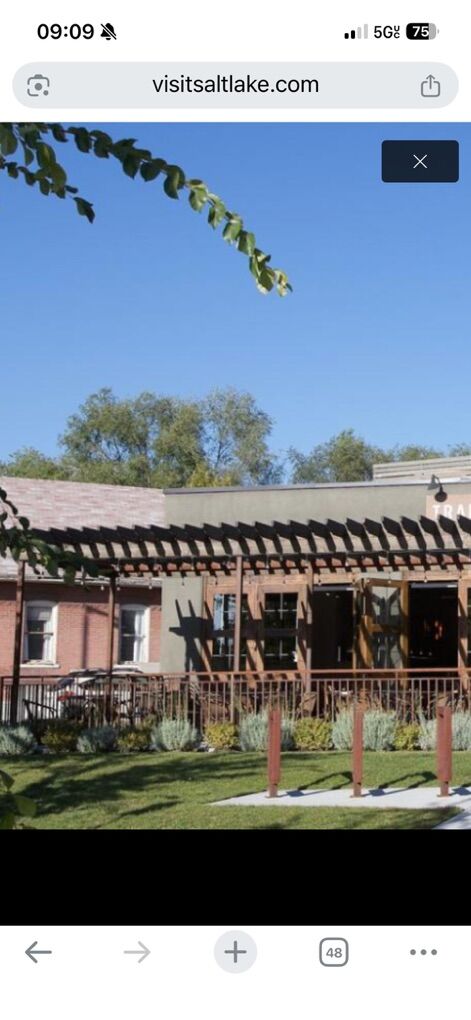 LaRge Back yard Steel And Wood Pergola