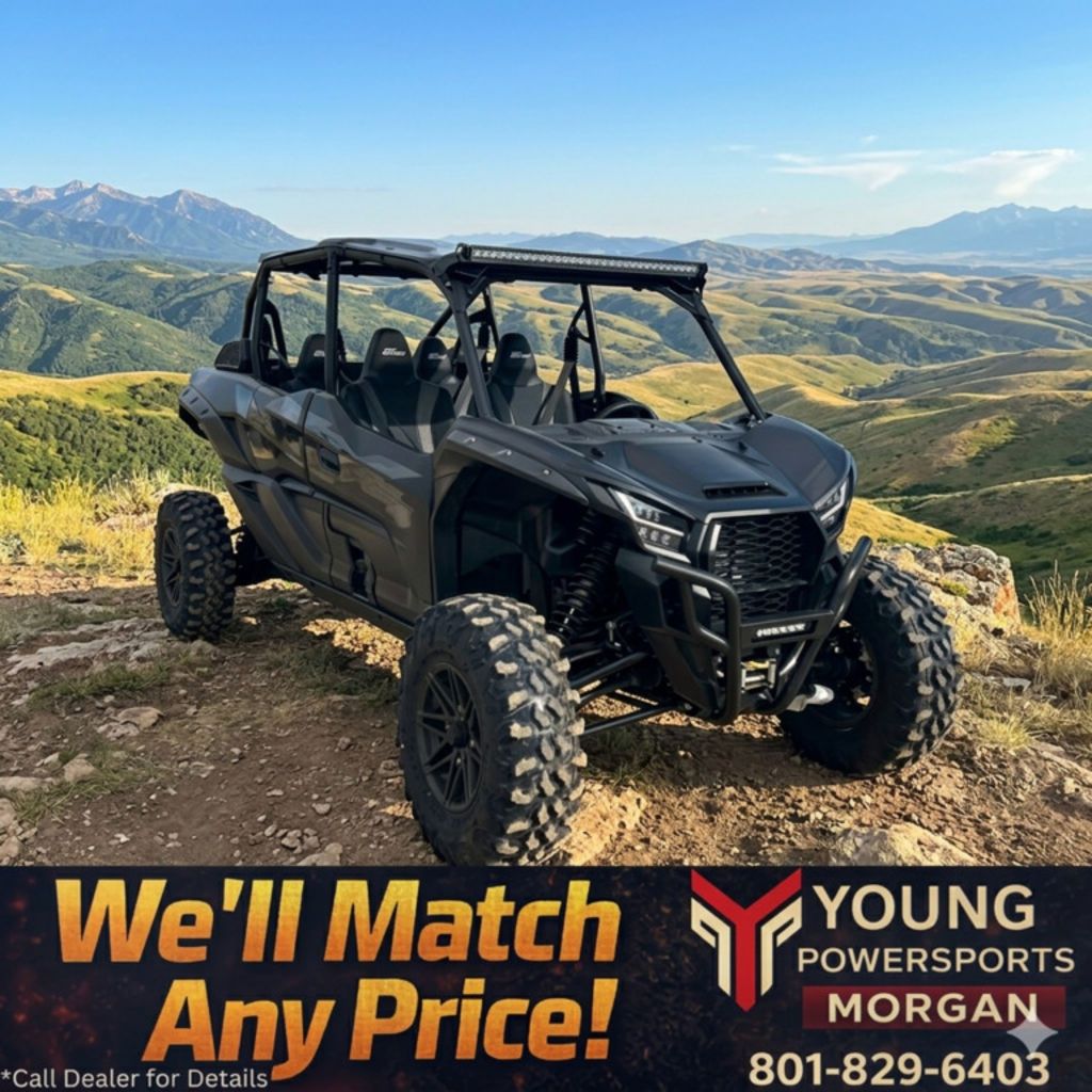 2025 Kawasaki Teryx® KRX4™ 1000 Blackout Edition
