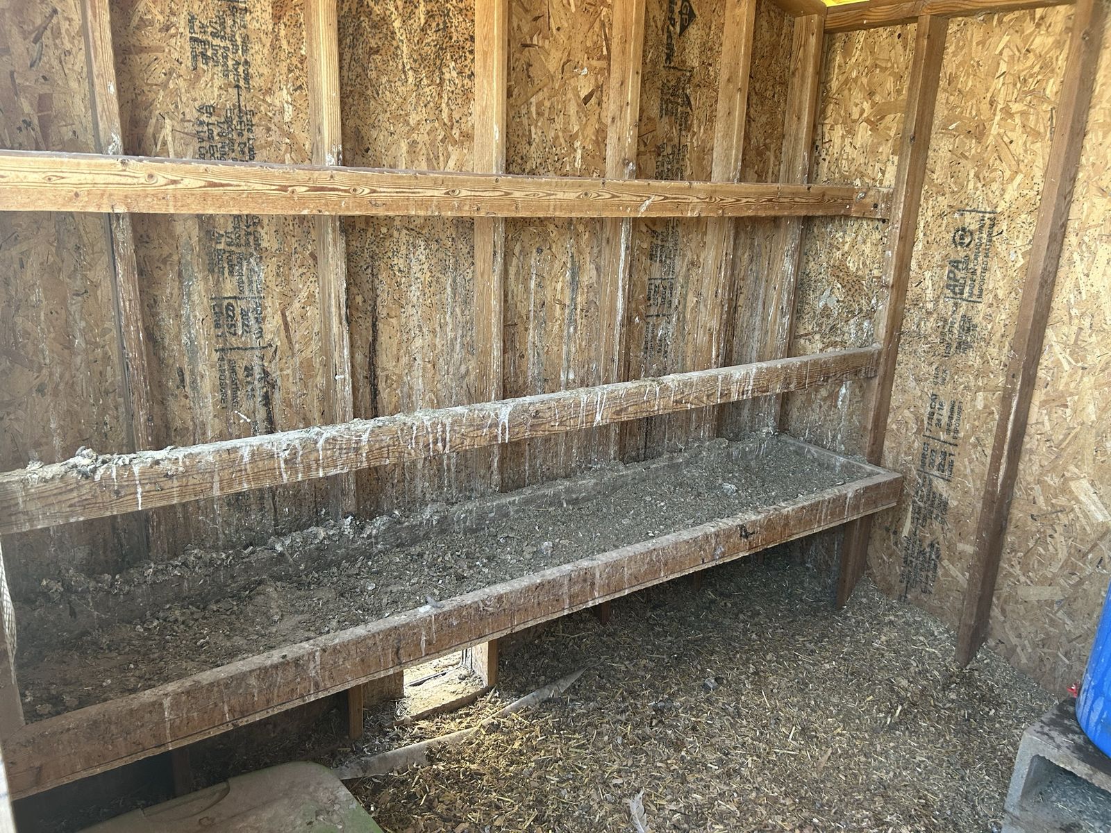 Main image 6