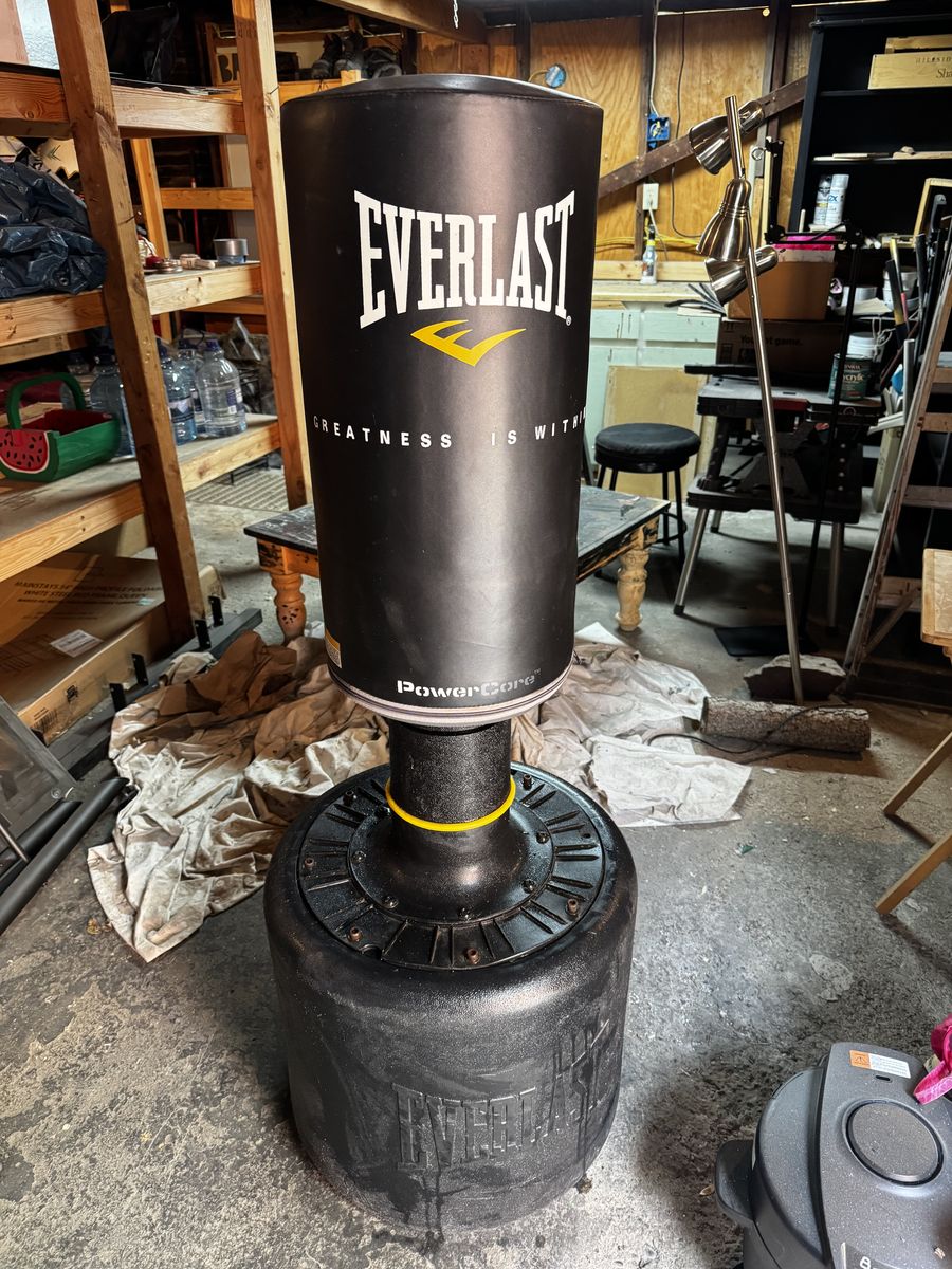 Everlast Kick Punch Stand
