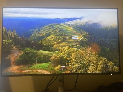 Dell Ultra Sharp USB HUB 24 inch Monitor