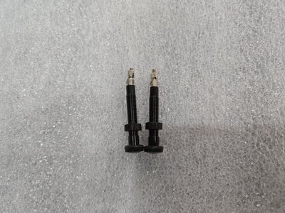 Tubeless bike valves