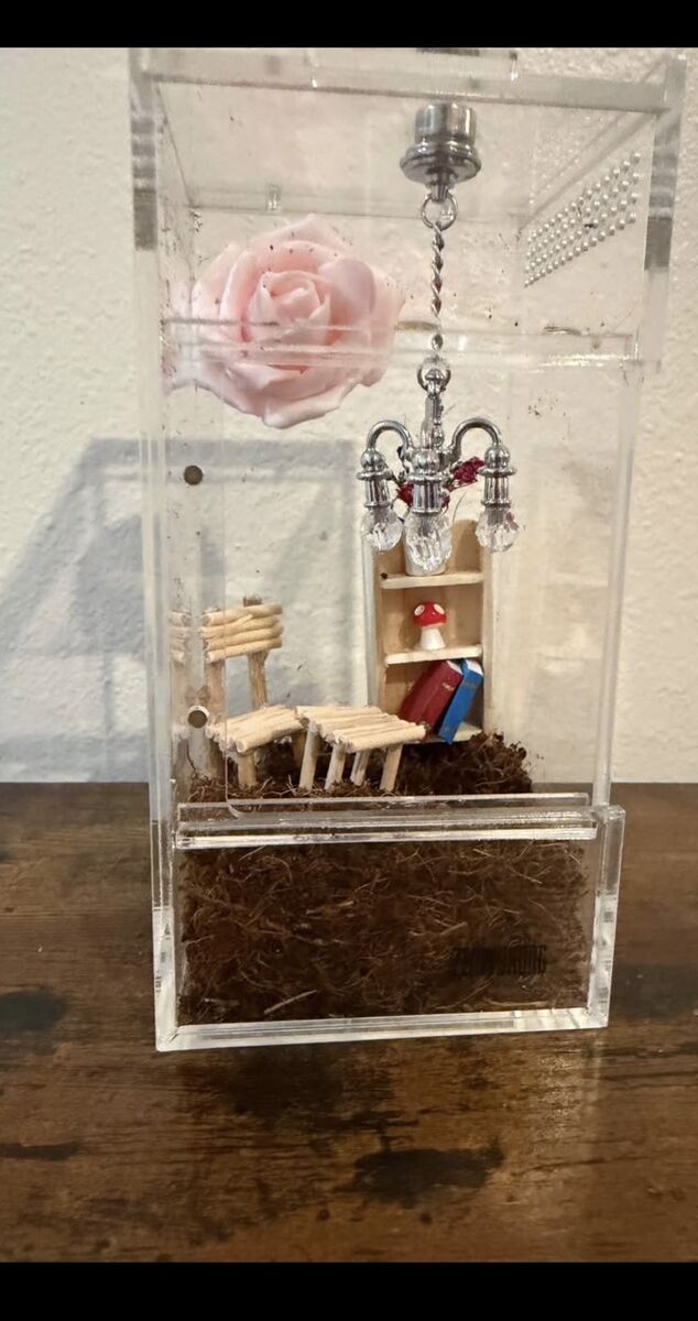 Small spider enclosure