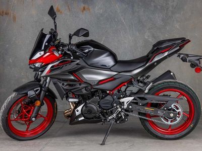 2025 Kawasaki Z500 SE ABS