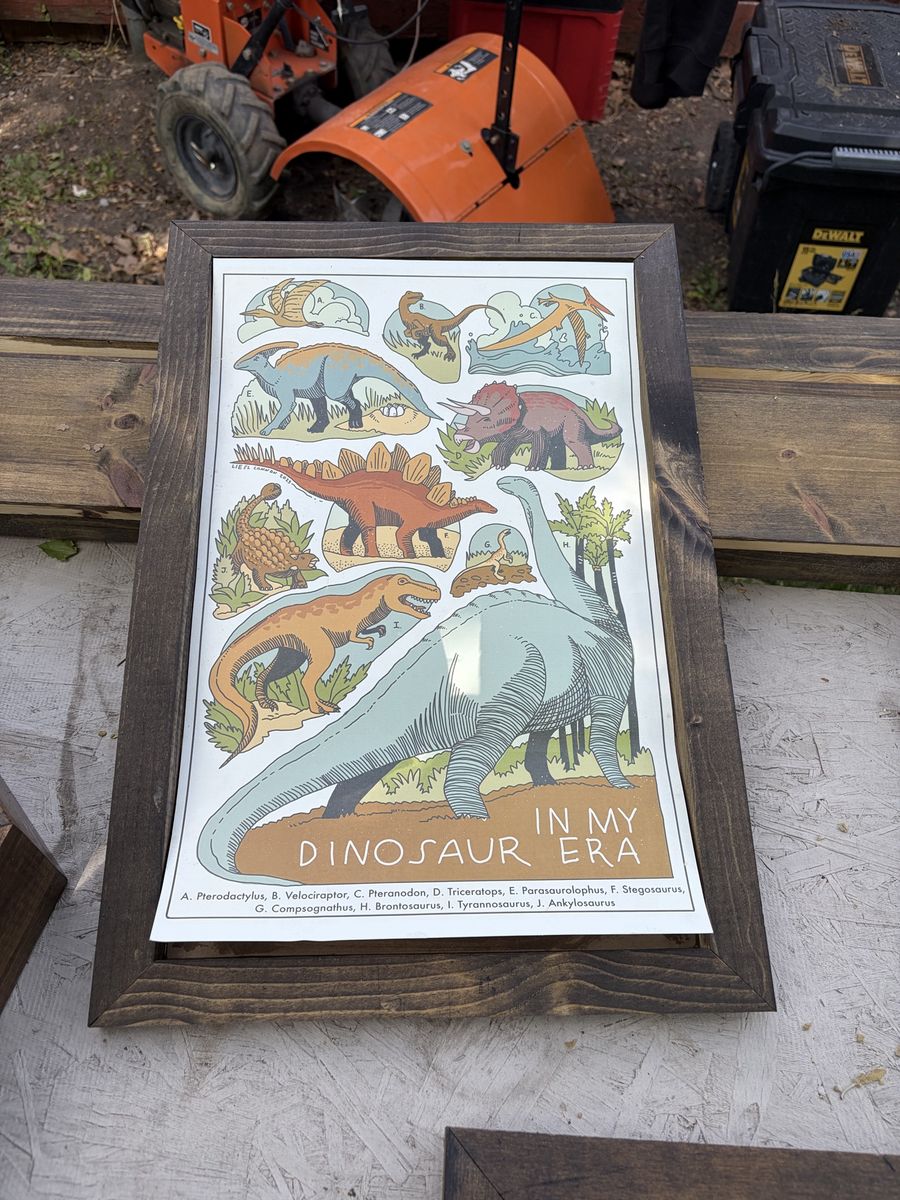 Poster/print frames