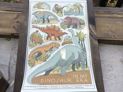Poster/print frames