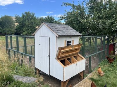 Chicken Coop and Run