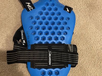 Back protector