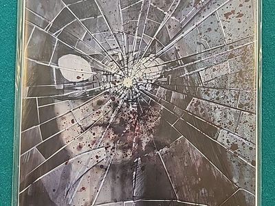 Bunny Mask #3 Nathan Szerdy-Variant