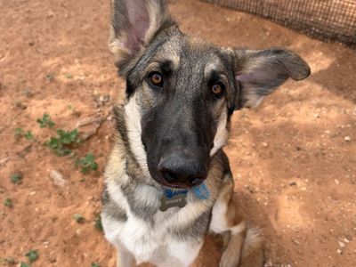 Hello my name is Expecto