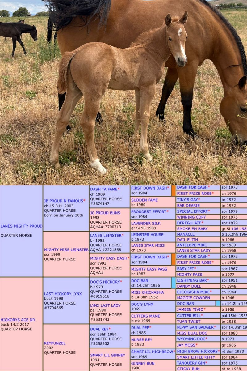 Main image 7