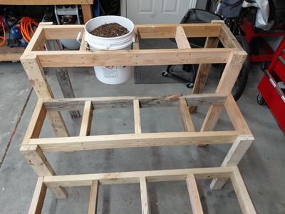 Raised 5 gallon bucket garden.