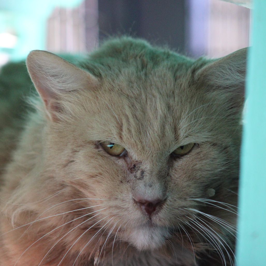 Hello my name is Camden