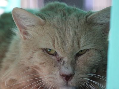 Hello my name is Camden