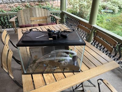 10 Gallon Glass Aquarium Tank Setup with Filters, Lights, and Accessories