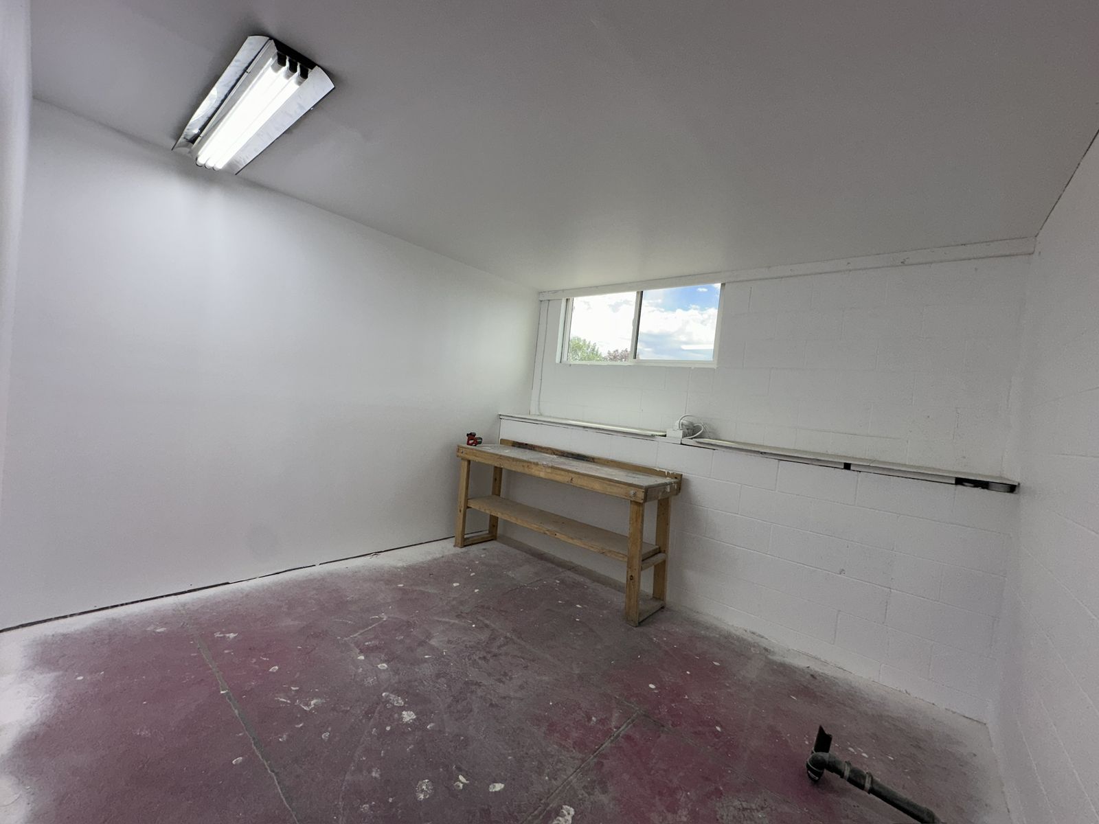 Main image 7