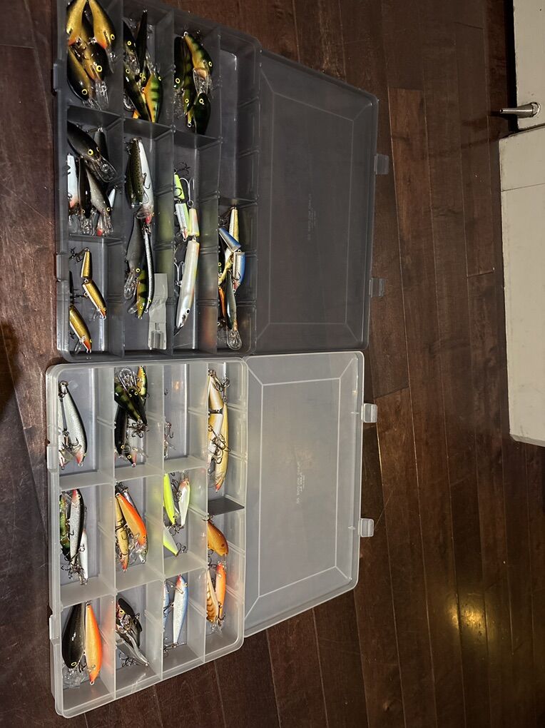 Assorted Rapala  / Hard bates