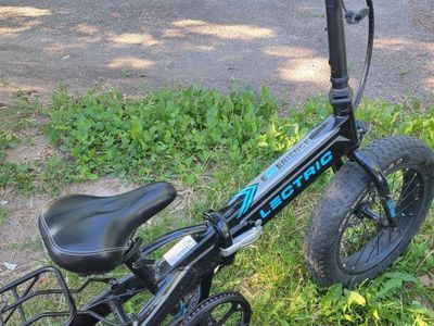 lectric bike