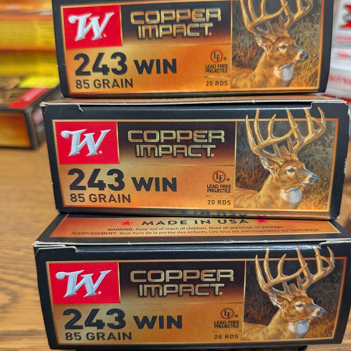 243 Copper Impact Ammo