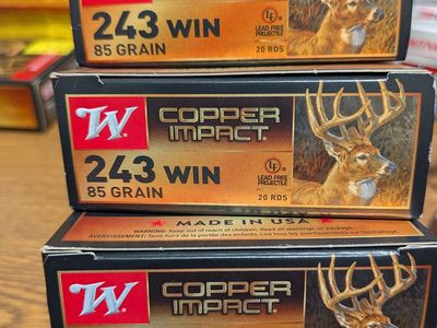243 Copper Impact Ammo