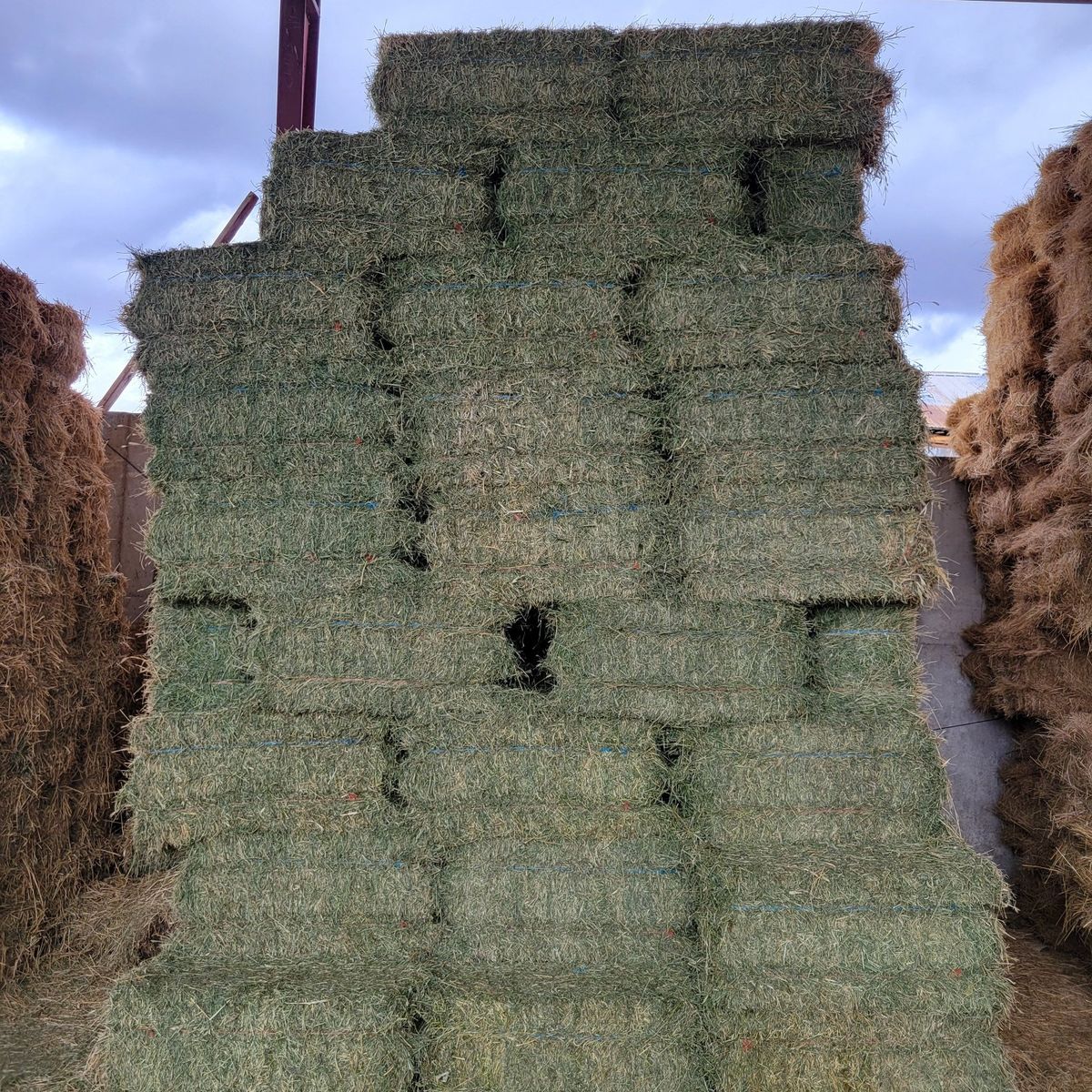 PREMIUM horse hay & DELIVERY SERVICES