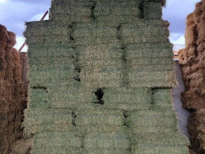 PREMIUM horse hay & DELIVERY SERVICES