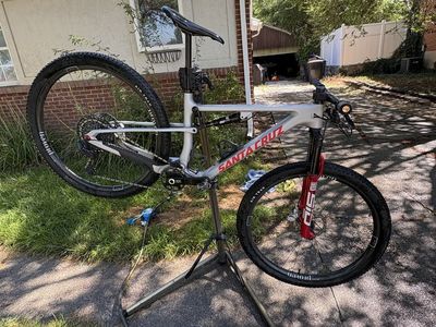 Santa Cruz blur - medium