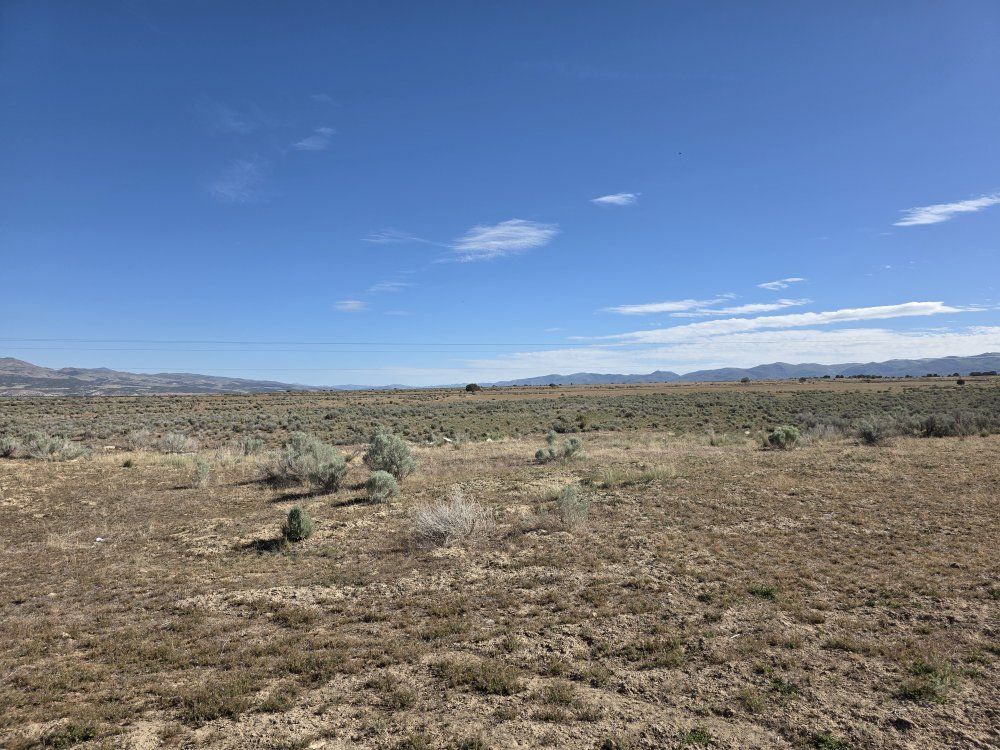 Main image 4