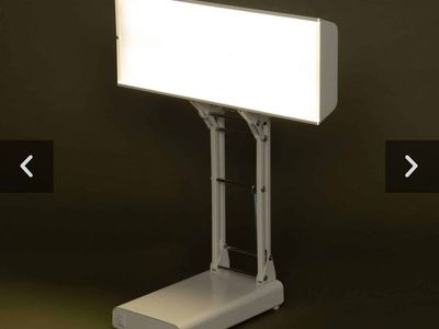Northern Light Desk Lamp - NEW IN BOX