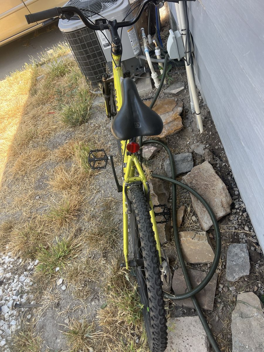 Main image 5