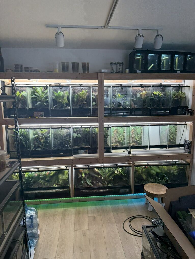 Zoomed Exo Terra Enclosures And Tanks  Frogs Gecko