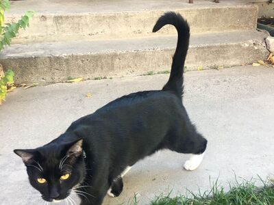 MIssing Near Kiwanis Park, Provo