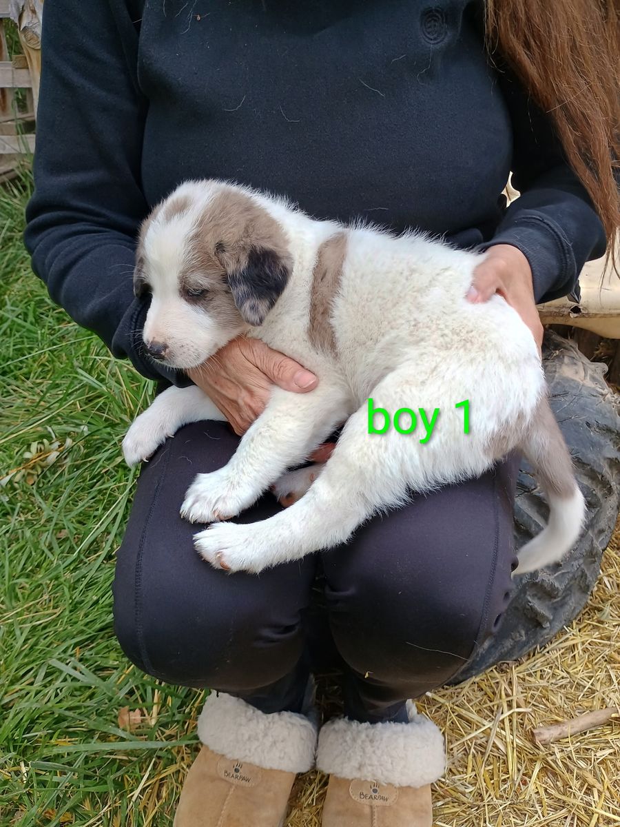 Main image 4