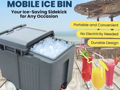 Ice bin