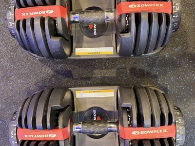 Pair Bowflex BD552 SelectTech Dumbbells 5-52.5 Lbs