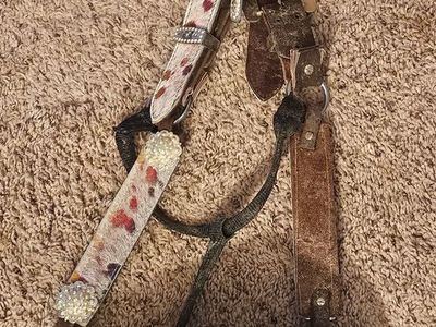 Bronc halter